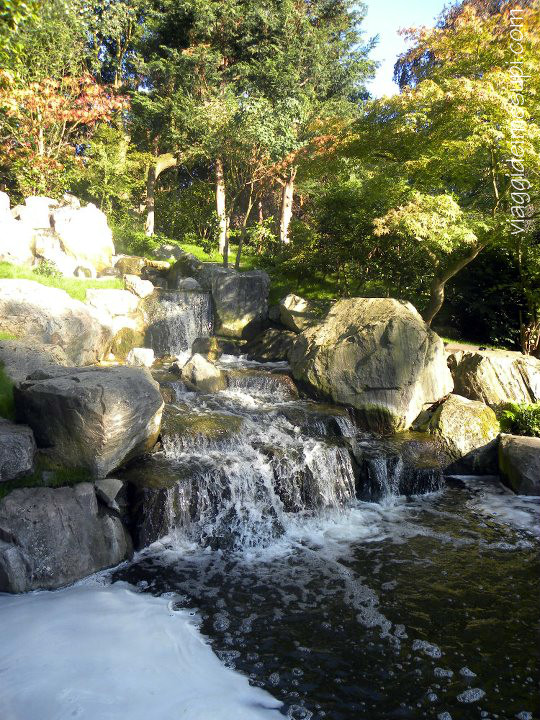 Kyoto Garden, cascatelle